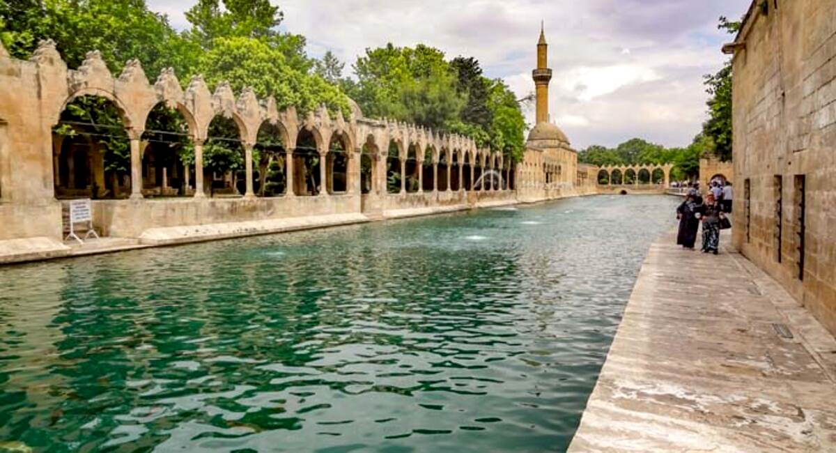 ŞANLIURFA ŞUBESİ