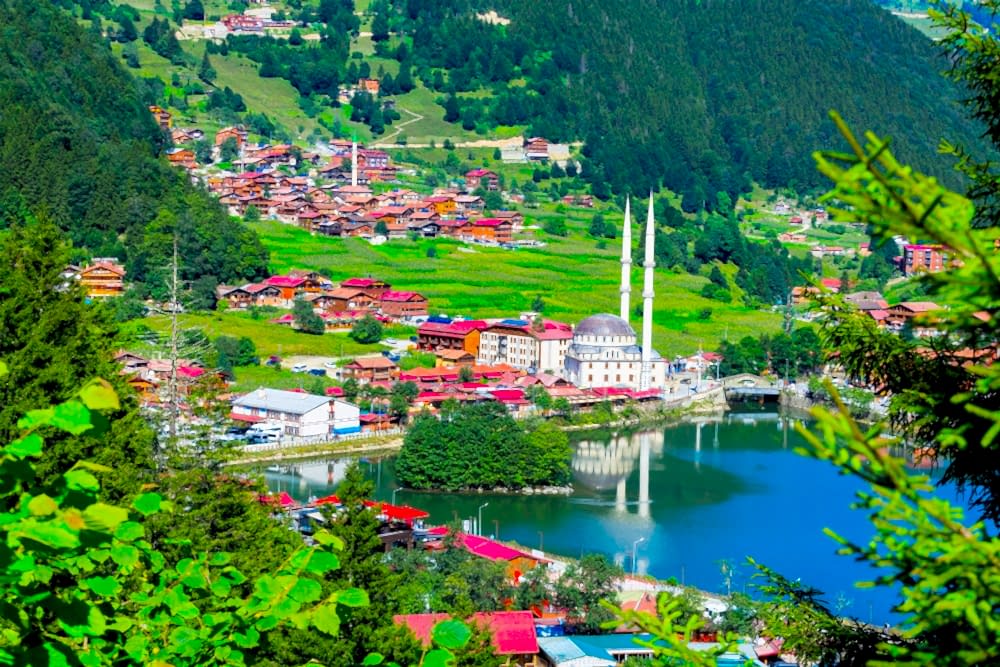 TRABZON ŞUBESİ